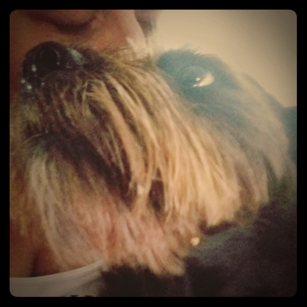 Meet your Posher, Shelly